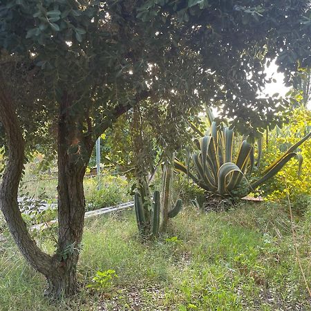 Villa Vittoria Trappeto  Kültér fotó