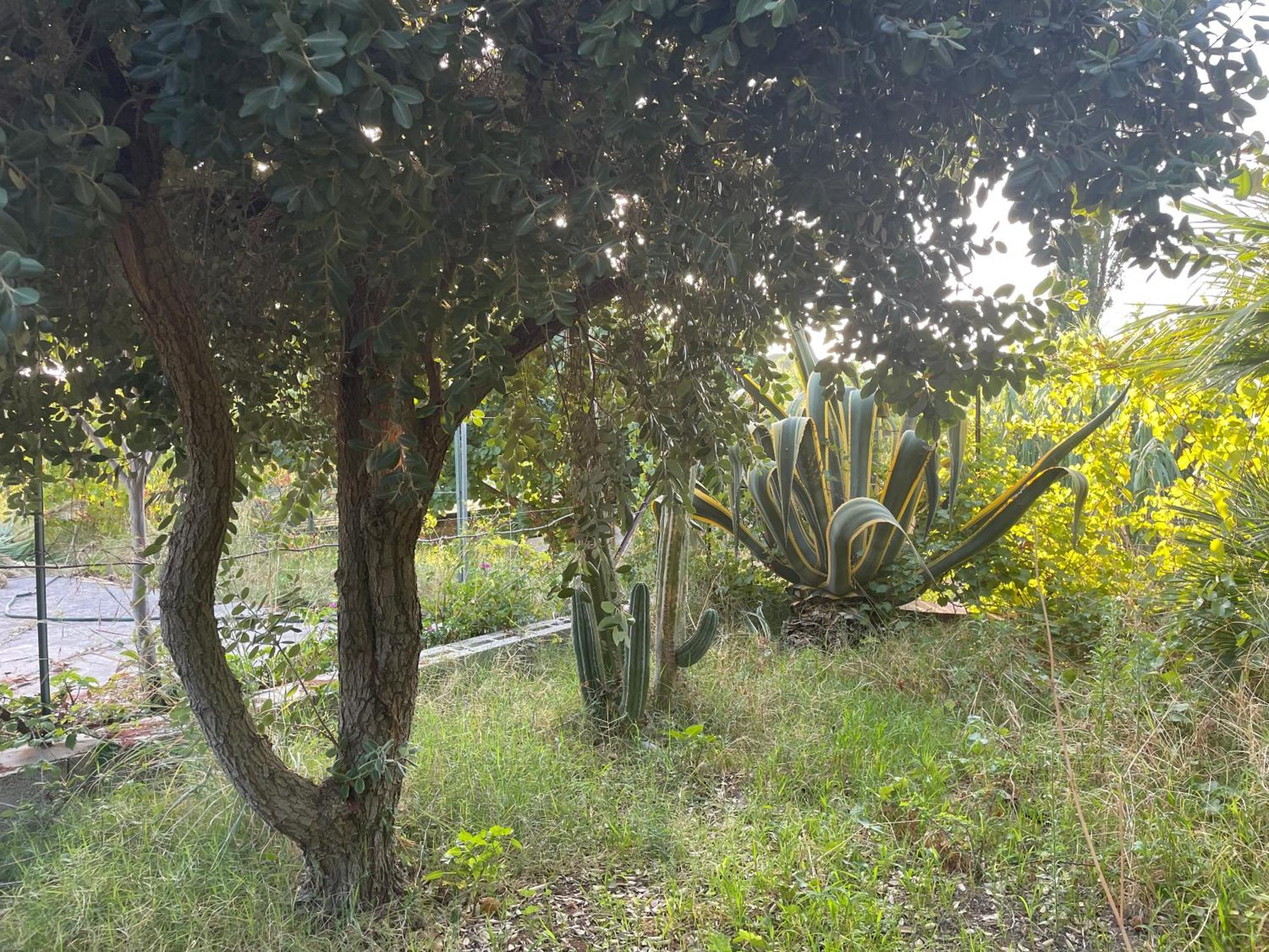Villa Vittoria Trappeto  Kültér fotó